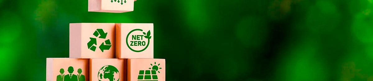 ESG Consulting in the UAE